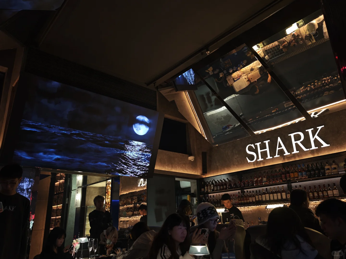 汕头夜生活新地标｜在鲨鱼面前吃刺身喝酒