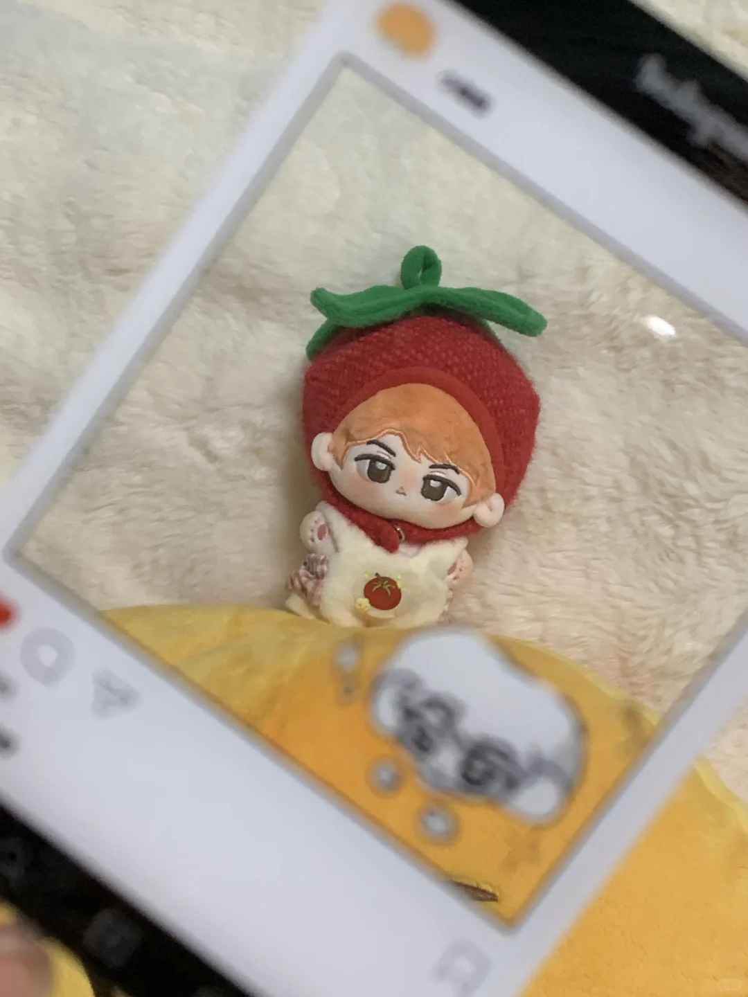 猫子 你也很喜欢我们勋柑吧