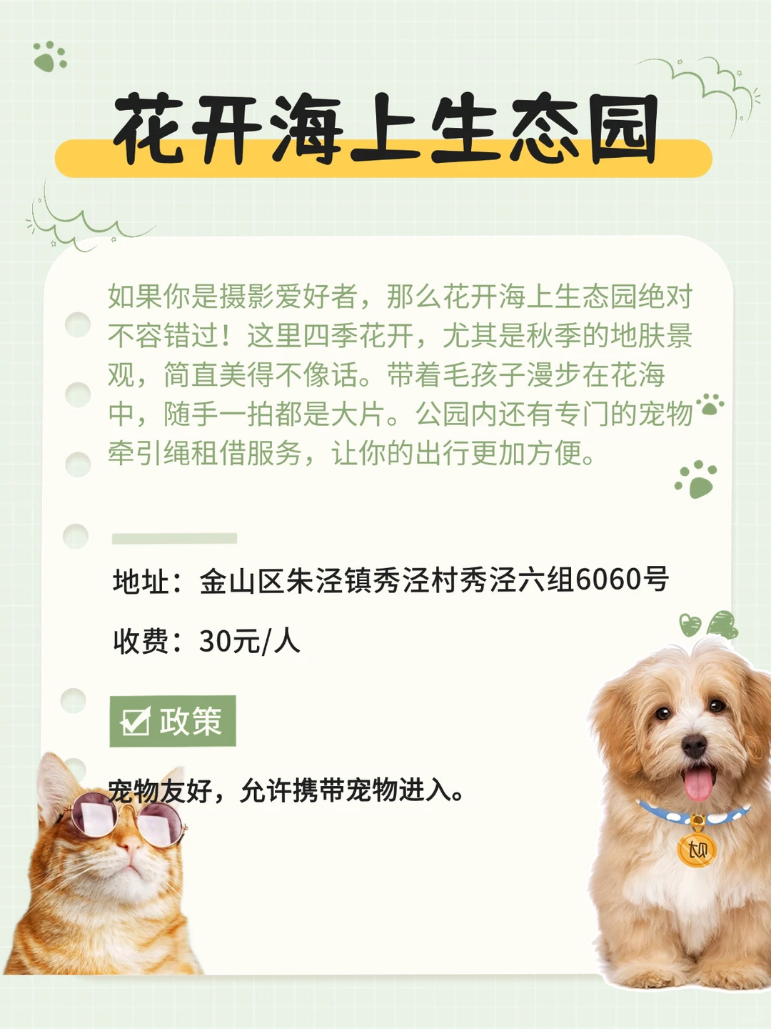 上海金山区宠物友好地图