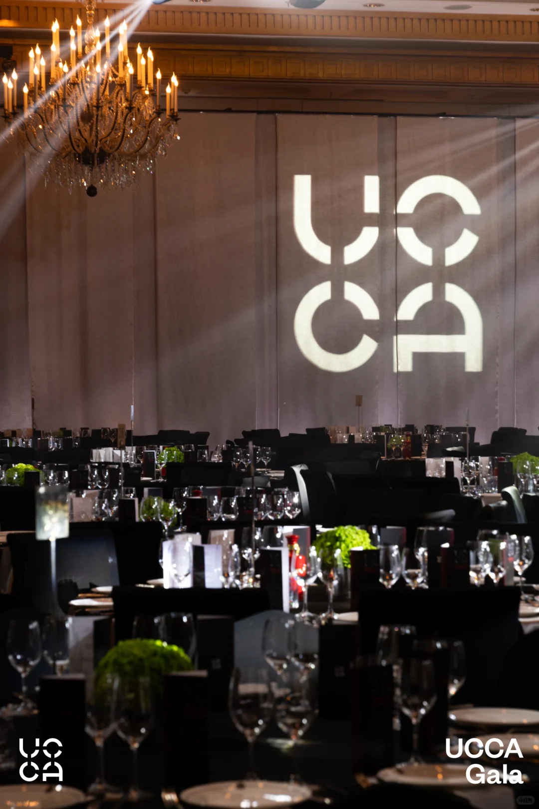 晚宴遇到章泽天，就是出挑大美人啊！！