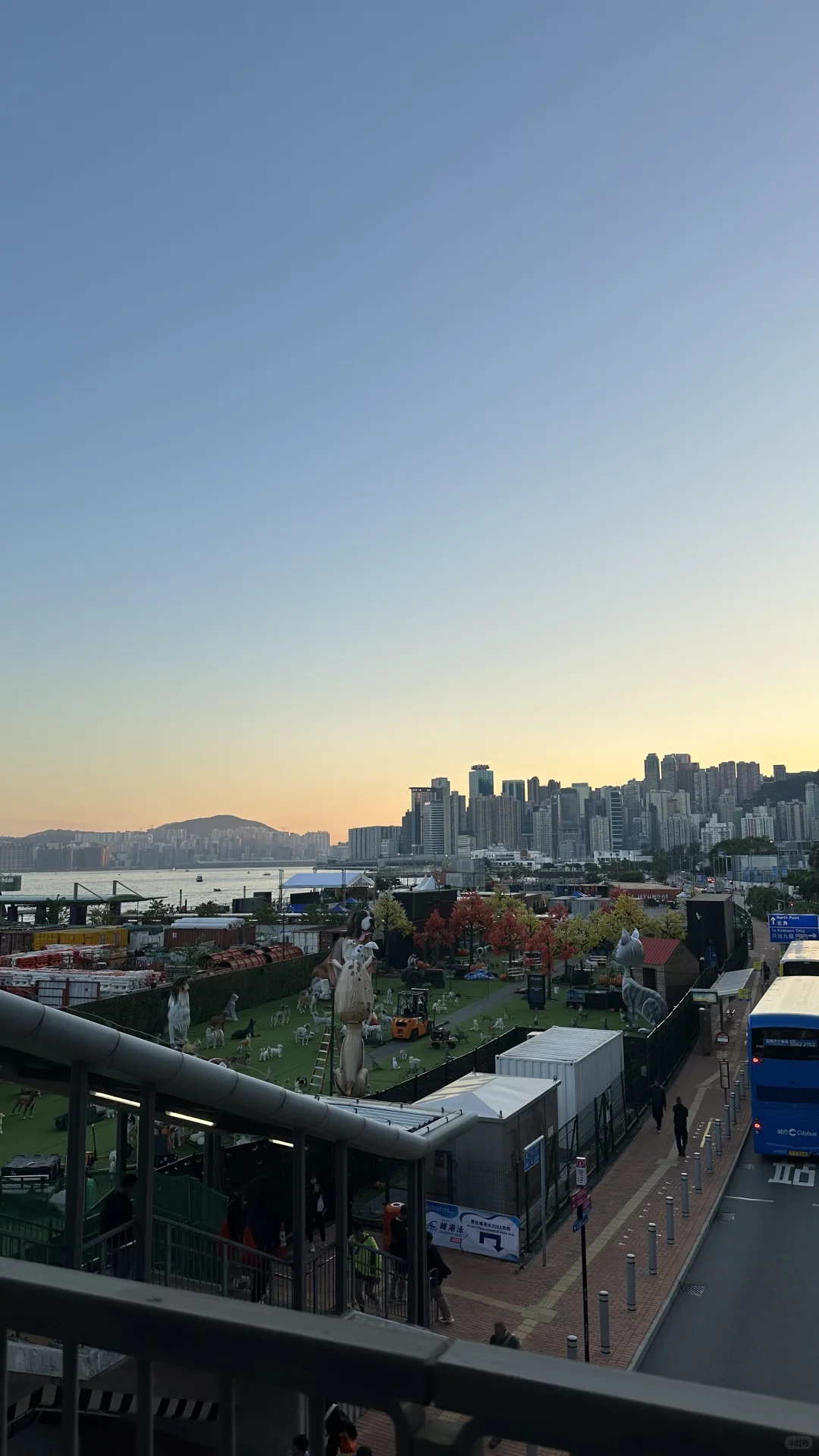 这波值了！直线1km的维港我游了2km🥲