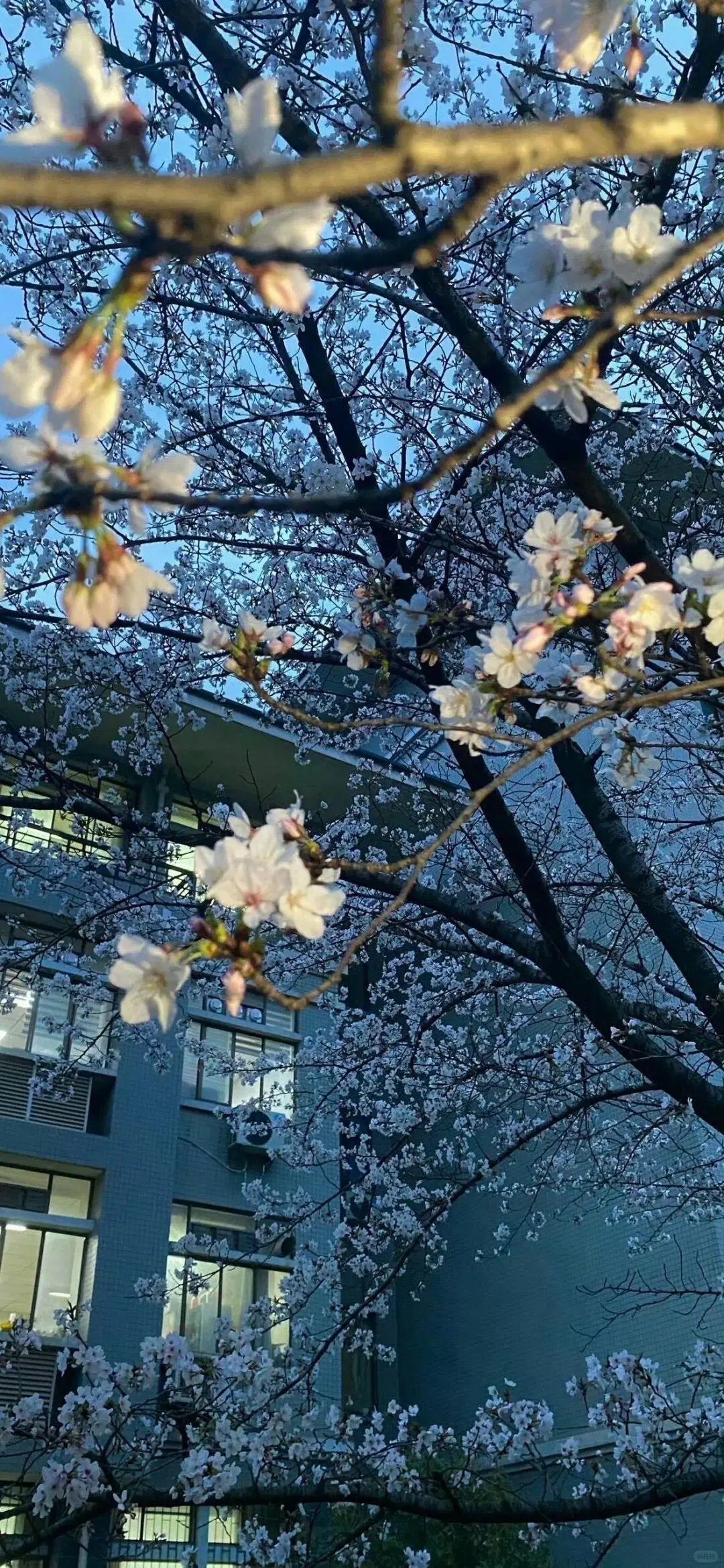 一些ios26裸眼3D超清壁纸