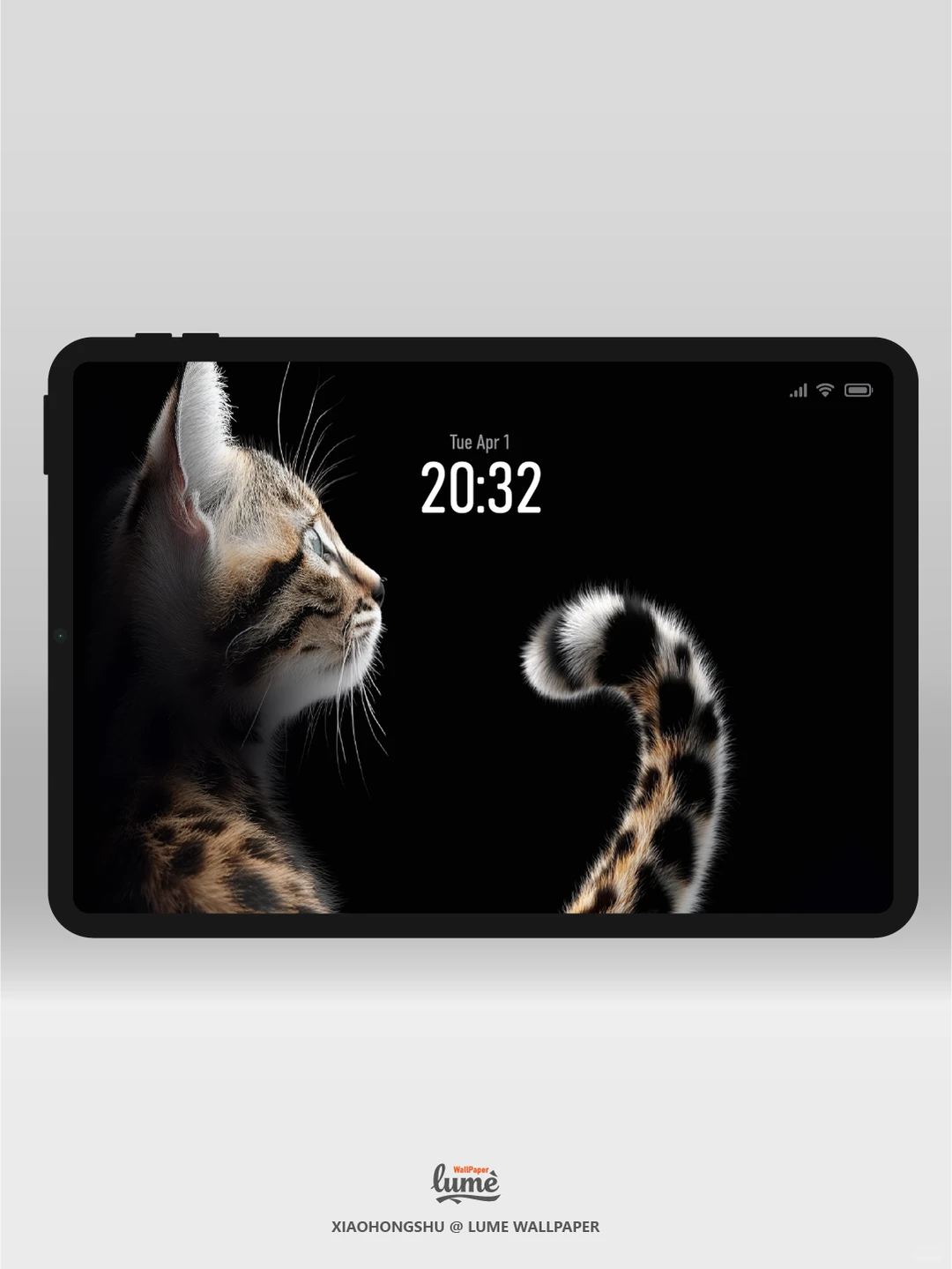 通用高清壁纸｜豹影绒光｜#0014