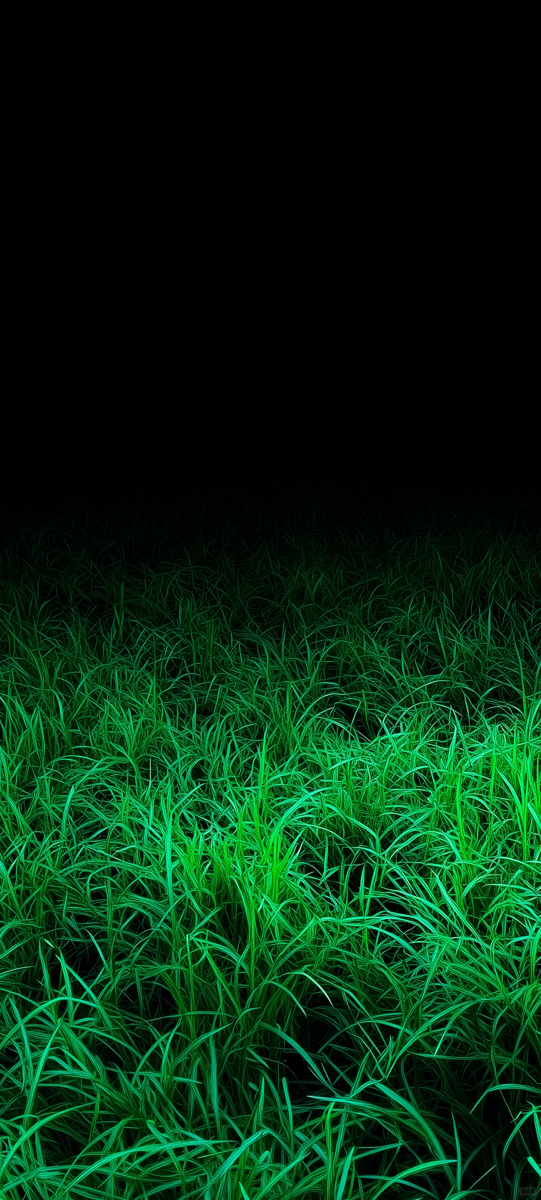 Share | iPhone高级黑色渐变