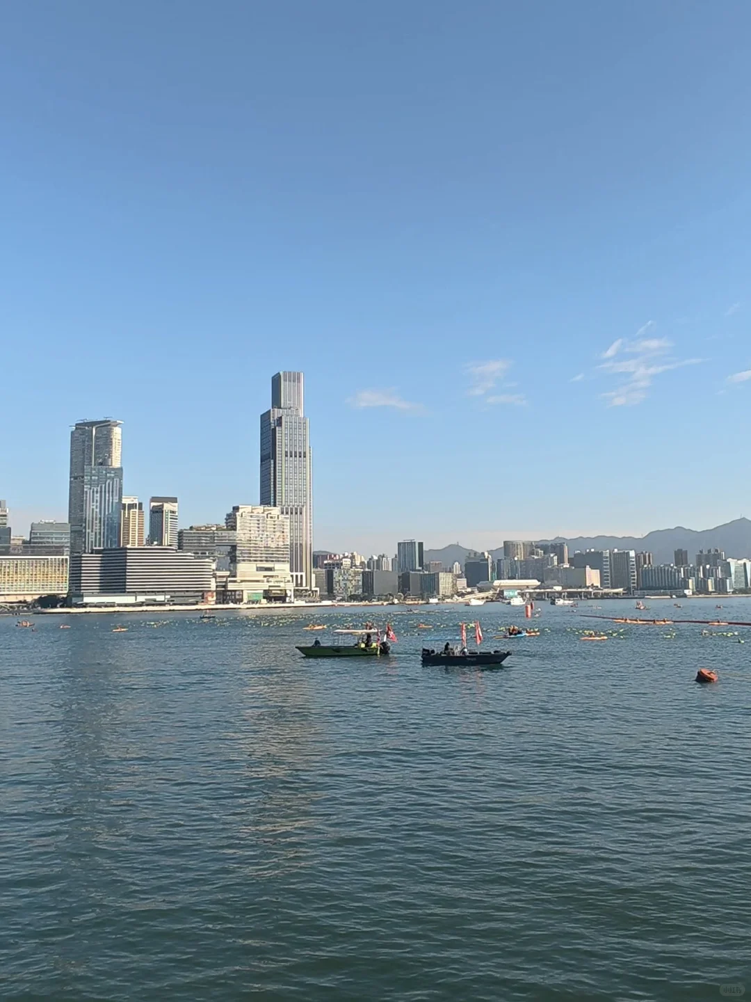 2025维港泳🏊‍♀️逆流而上！