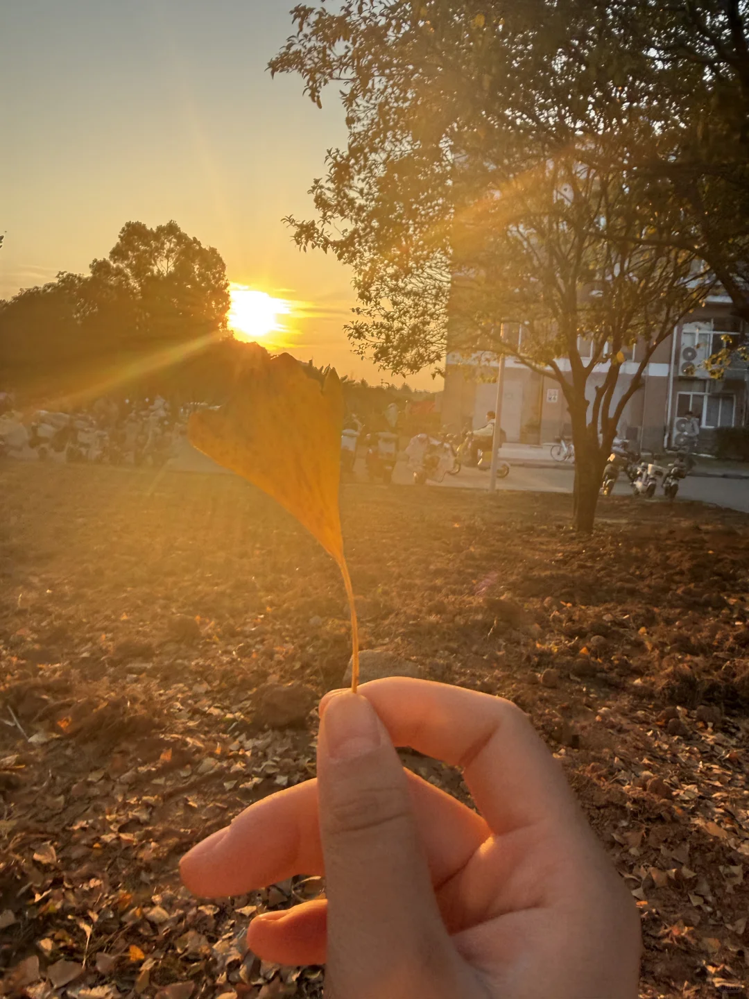 当我用自己的照片做成手机壁纸