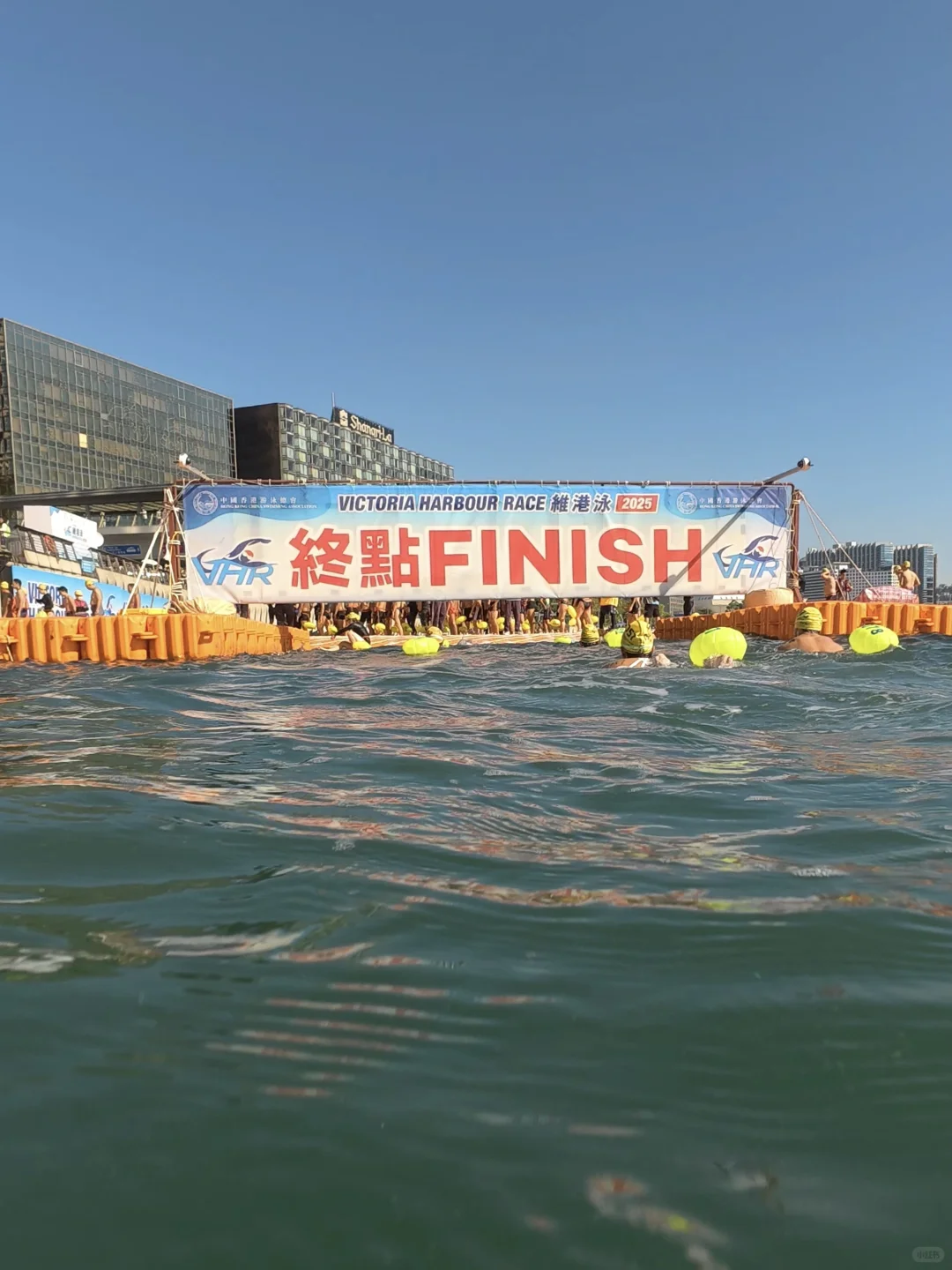 2025维港泳🏊‍♀️逆流而上！