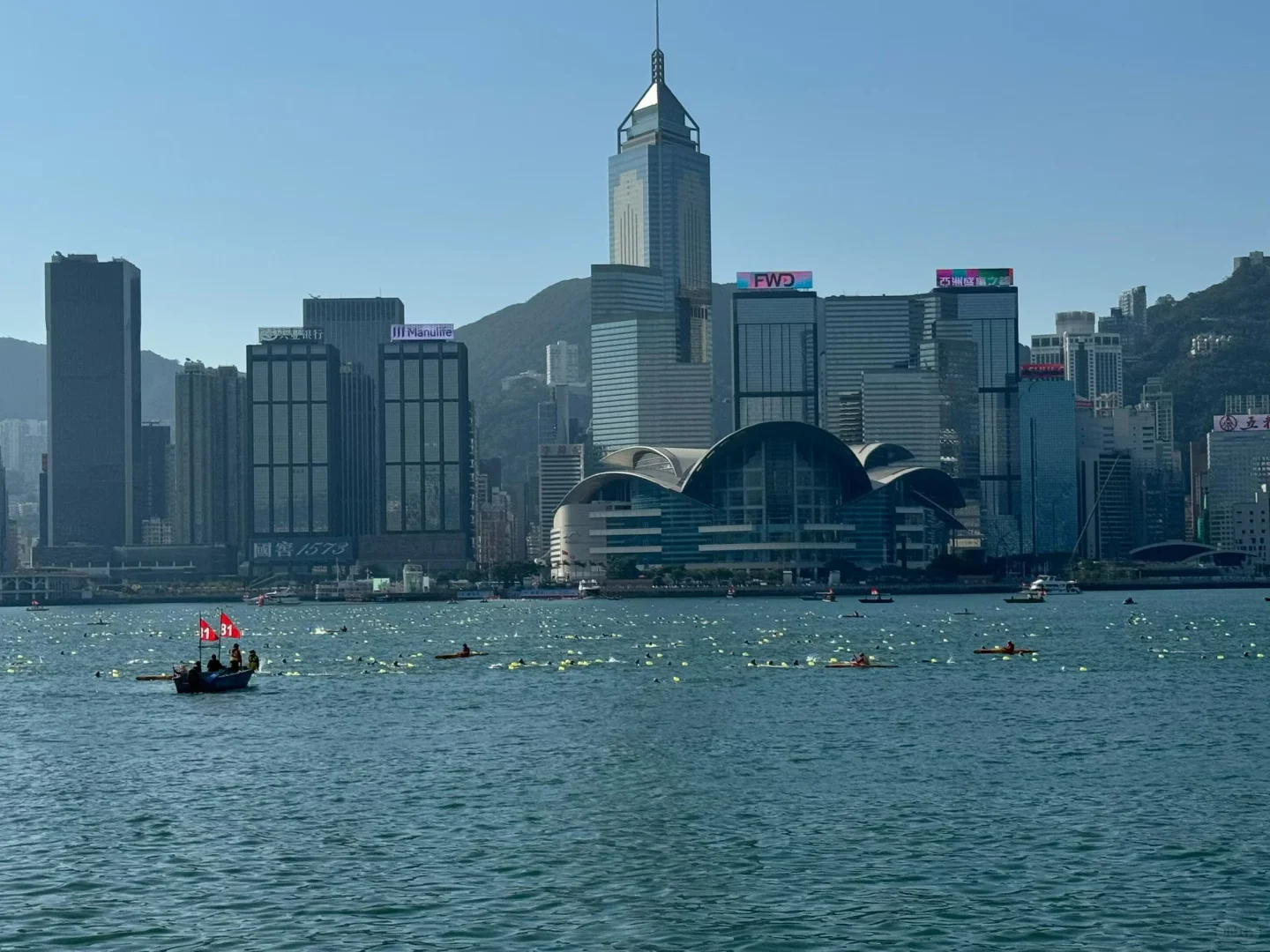 2025维港泳完赛～