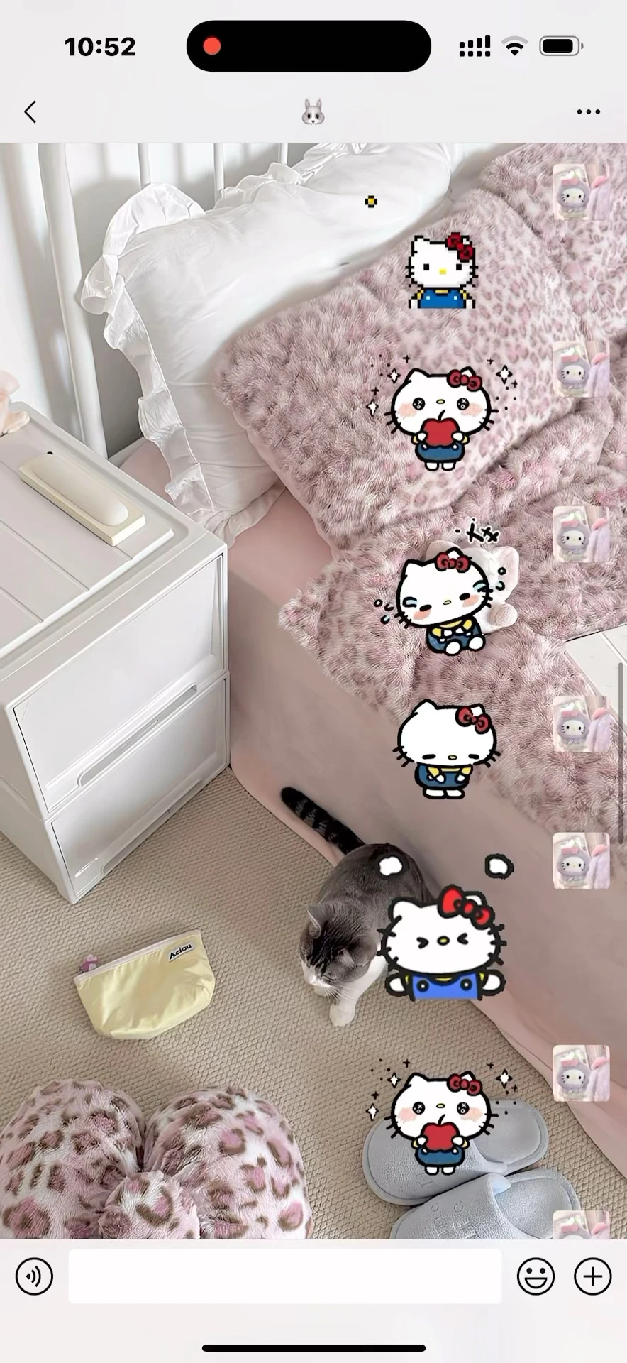 咪的天（^ ）是会动的HelloKitty表情包