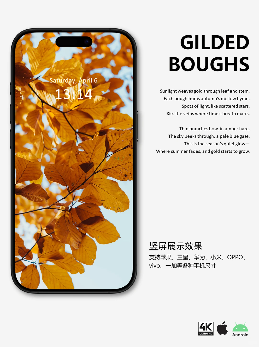 壁纸分享 | 简约ins风-金色枫叶