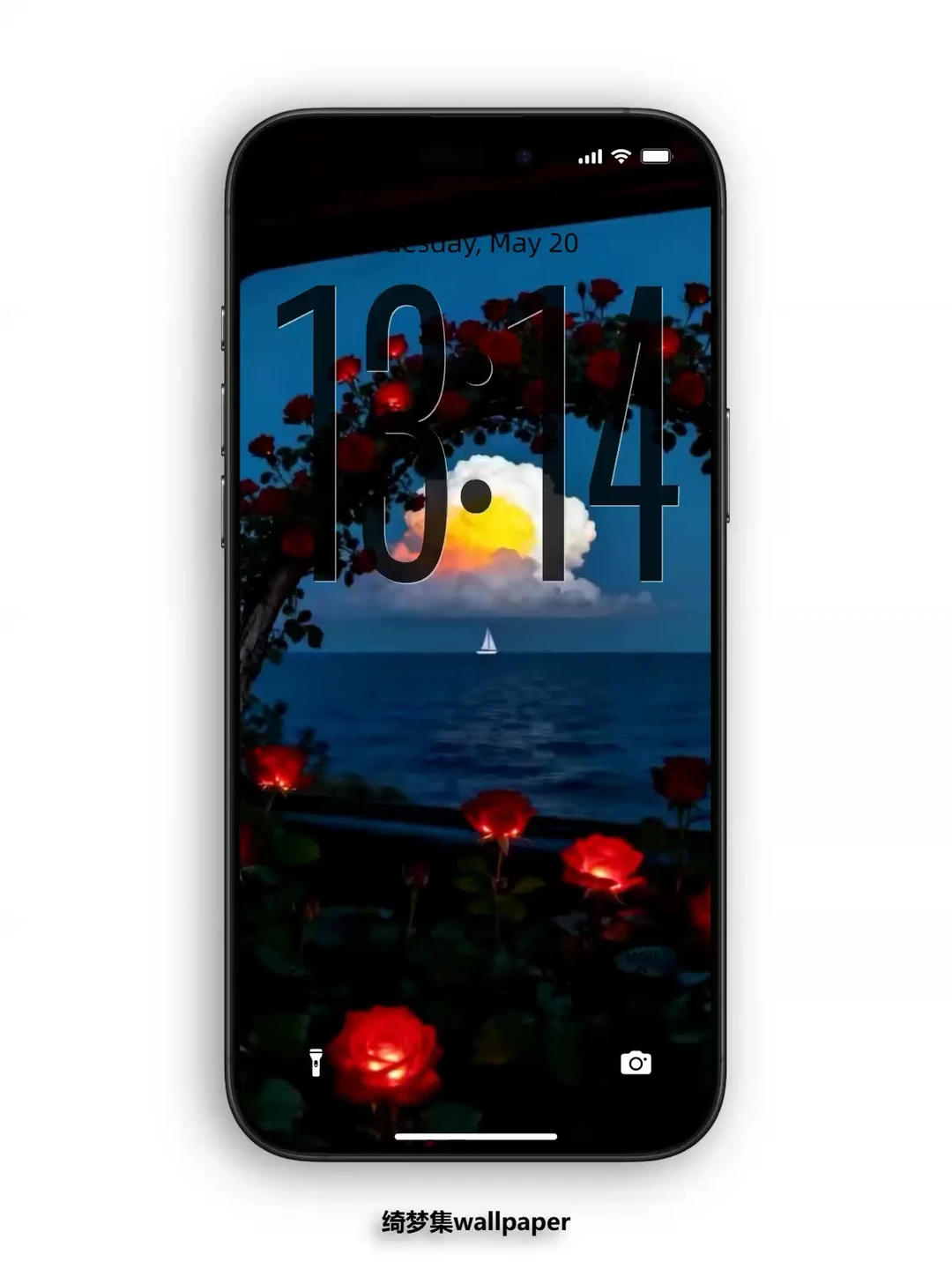 🎀复古玫瑰花海动态壁纸｜氛围感满满588