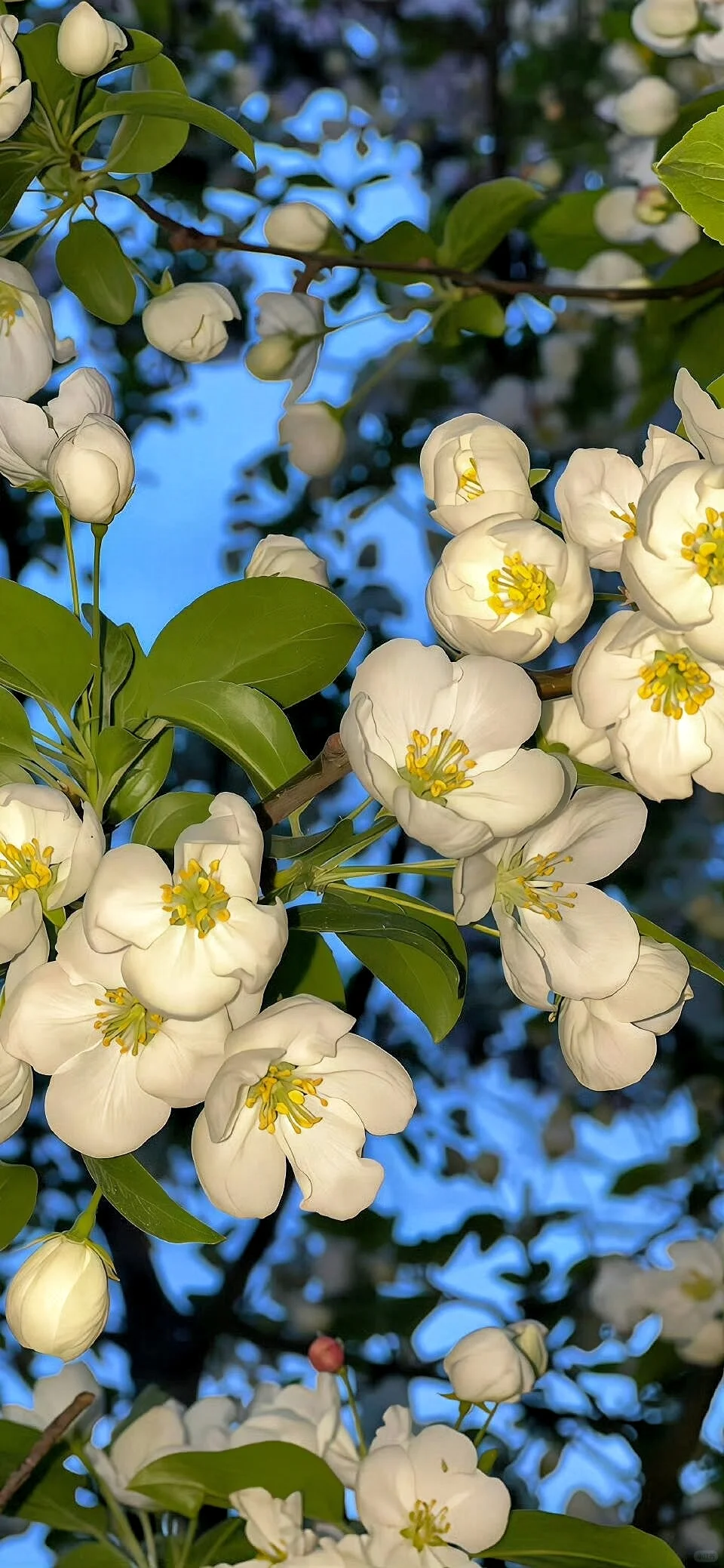 一些ios26裸眼3D超清壁纸