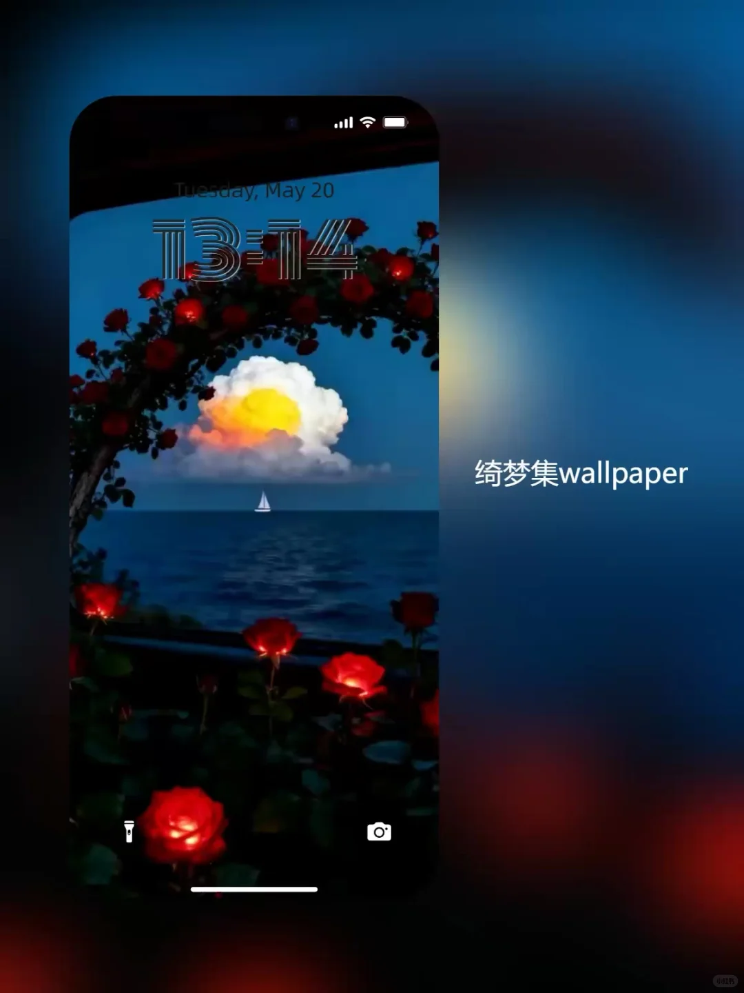 🎀复古玫瑰花海动态壁纸｜氛围感满满588