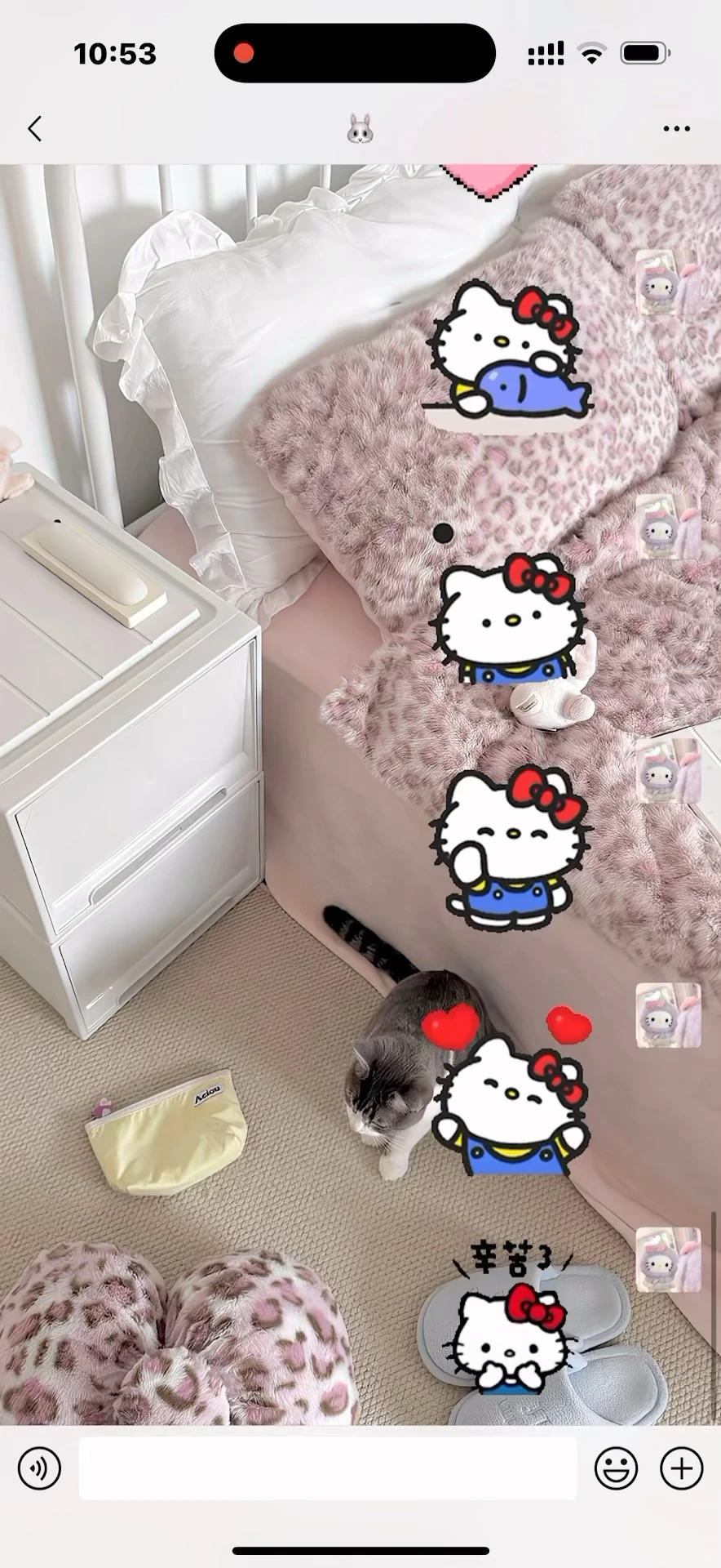 咪的天（^ ）是会动的HelloKitty表情包