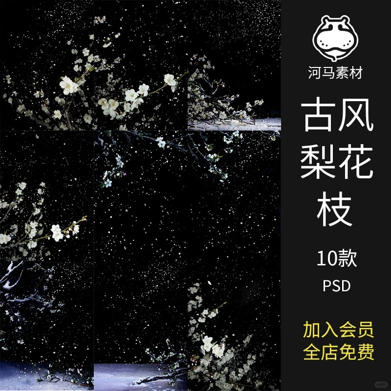 新中式古风汉服清冷美人枝雪景写真