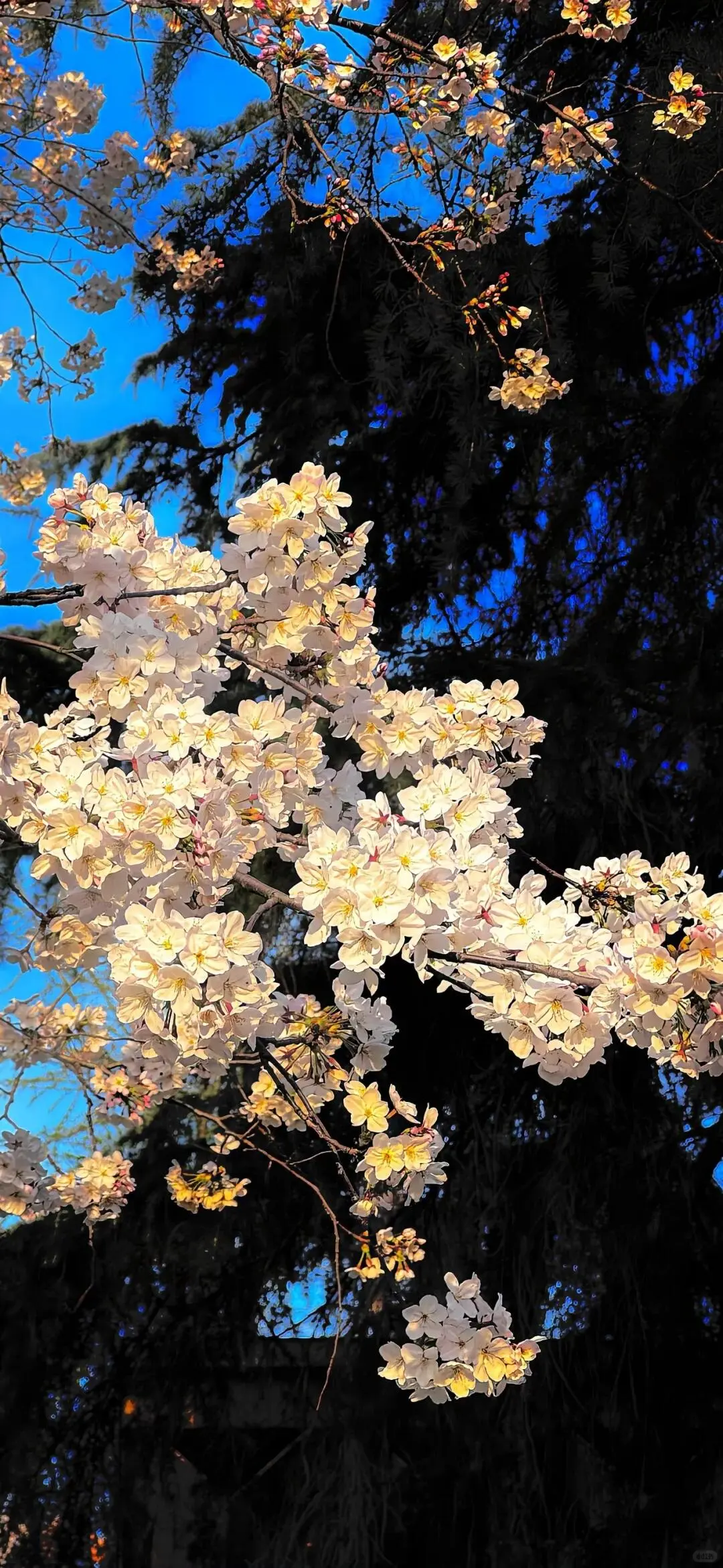 一些ios26裸眼3D超清壁纸