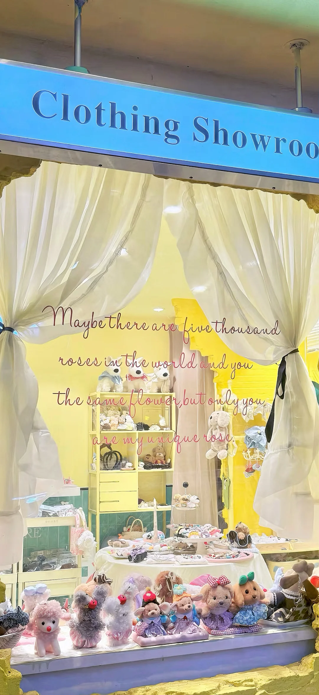 今日份壁纸送达～🫧