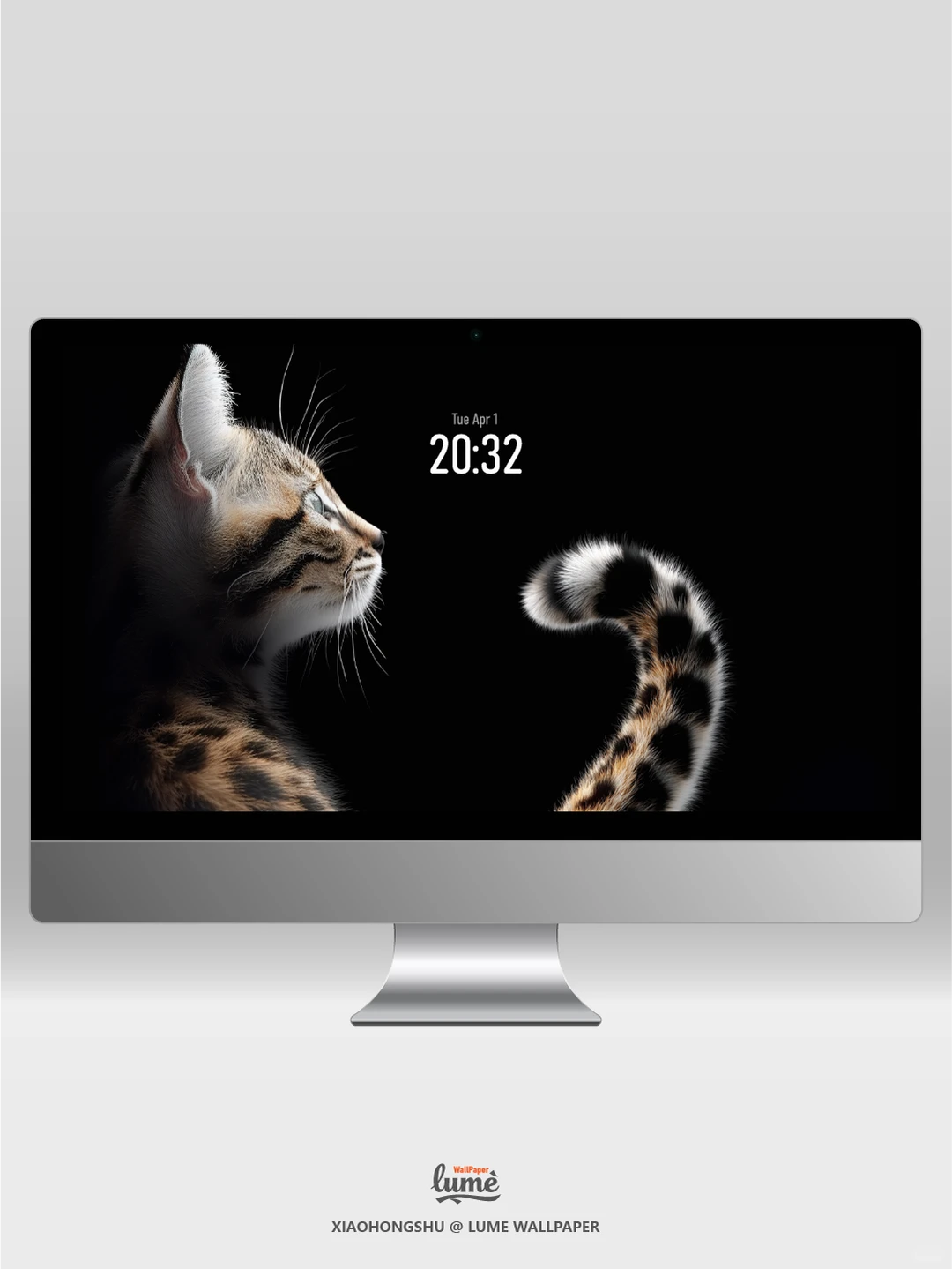 通用高清壁纸｜豹影绒光｜#0014