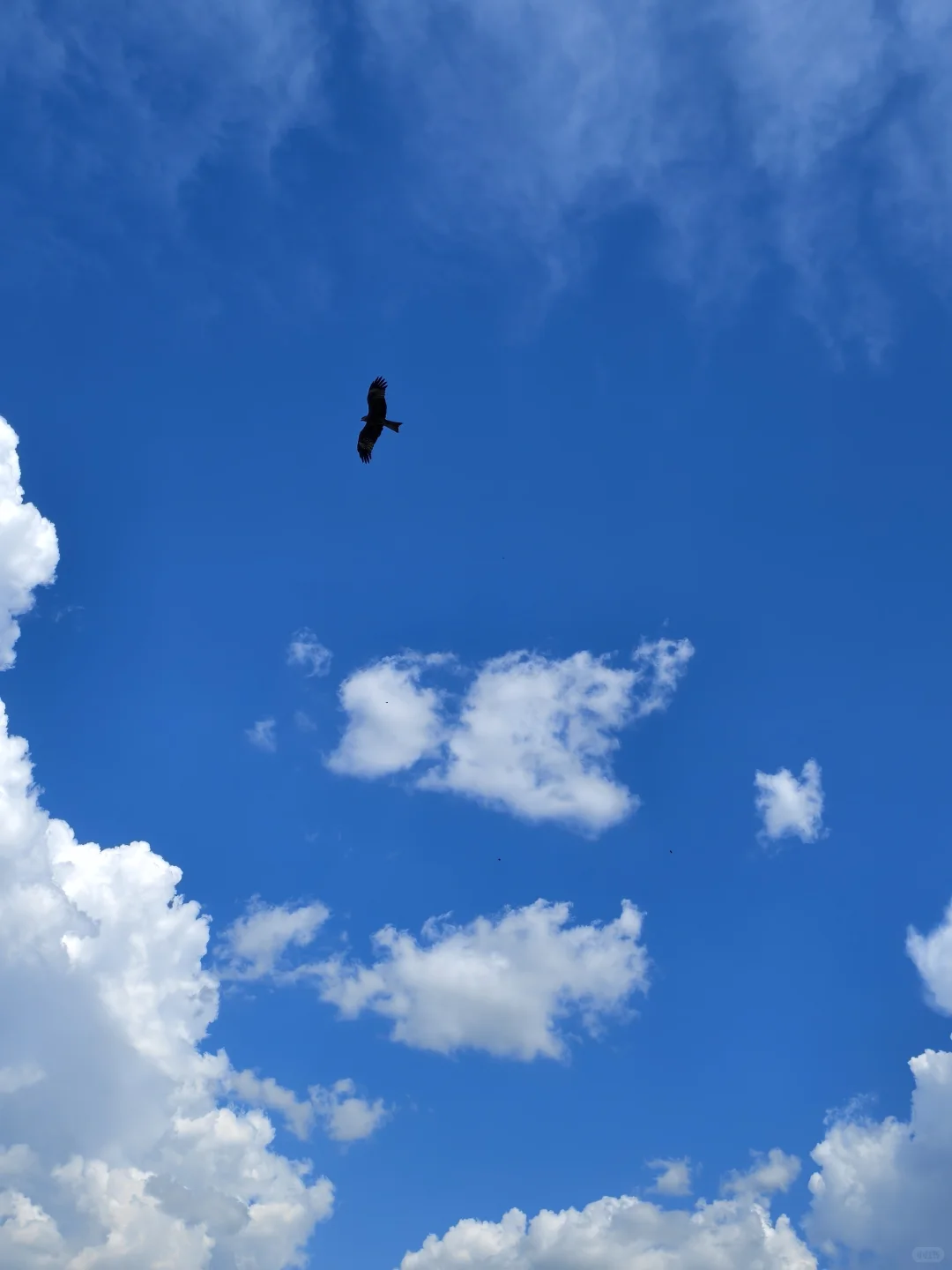 少妇独自一人新疆之旅 第 3️⃣天