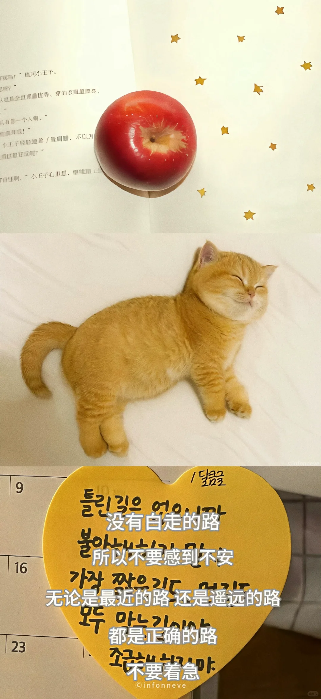 share🍥|拼接壁纸⊹✮₊⋆