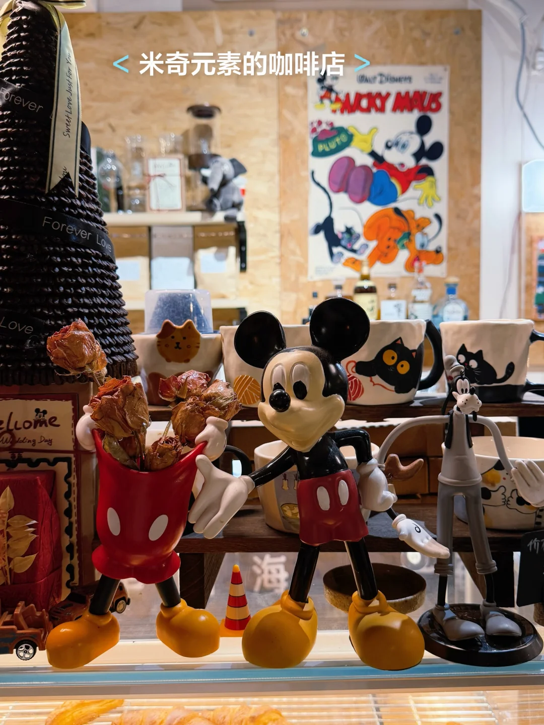 40+年纪大了，只想把自己养的快乐，平静