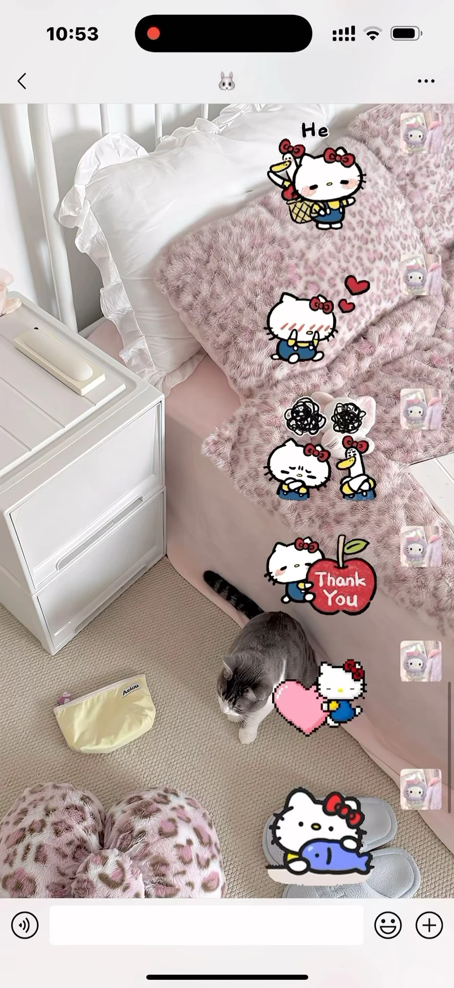 咪的天（^ ）是会动的HelloKitty表情包