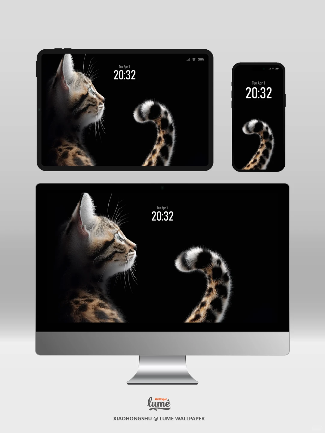 通用高清壁纸｜豹影绒光｜#0014