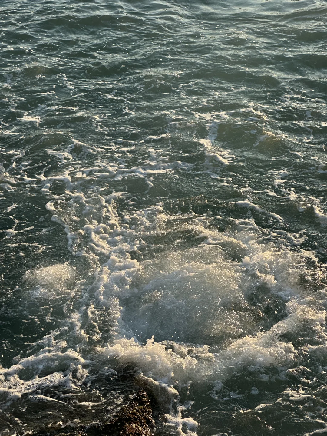 这波值了！直线1km的维港我游了2km🥲