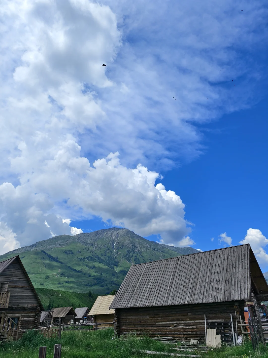 少妇独自一人新疆之旅 第 3️⃣天