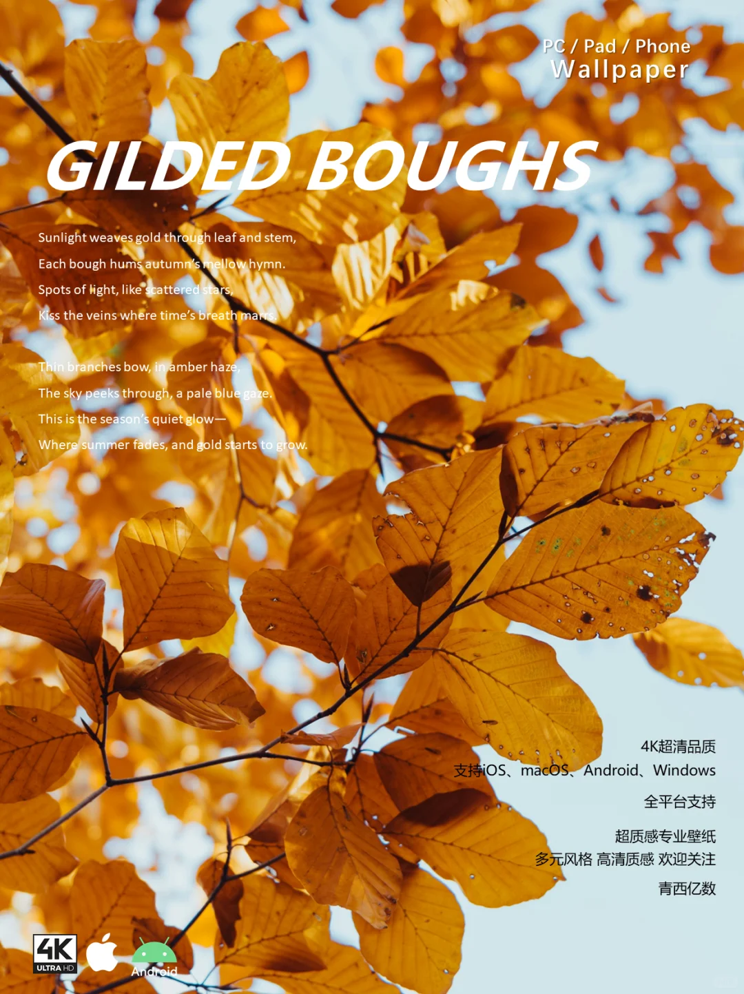 壁纸分享 | 简约ins风-金色枫叶