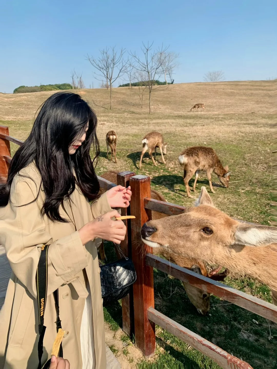 入秋穿搭合集🐈‍⬛🍂