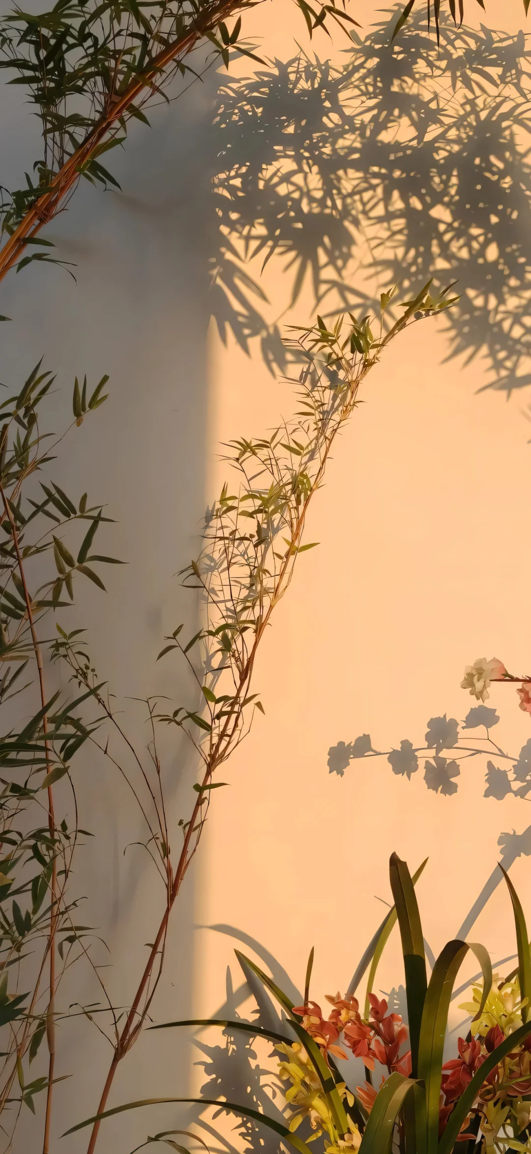 最近运气有点不好