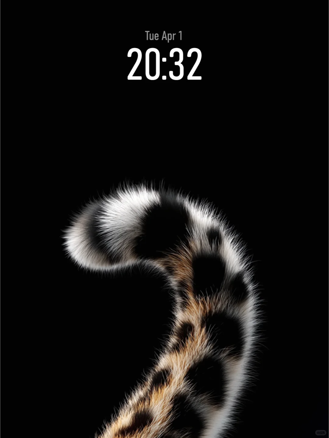 通用高清壁纸｜豹影绒光｜#0014