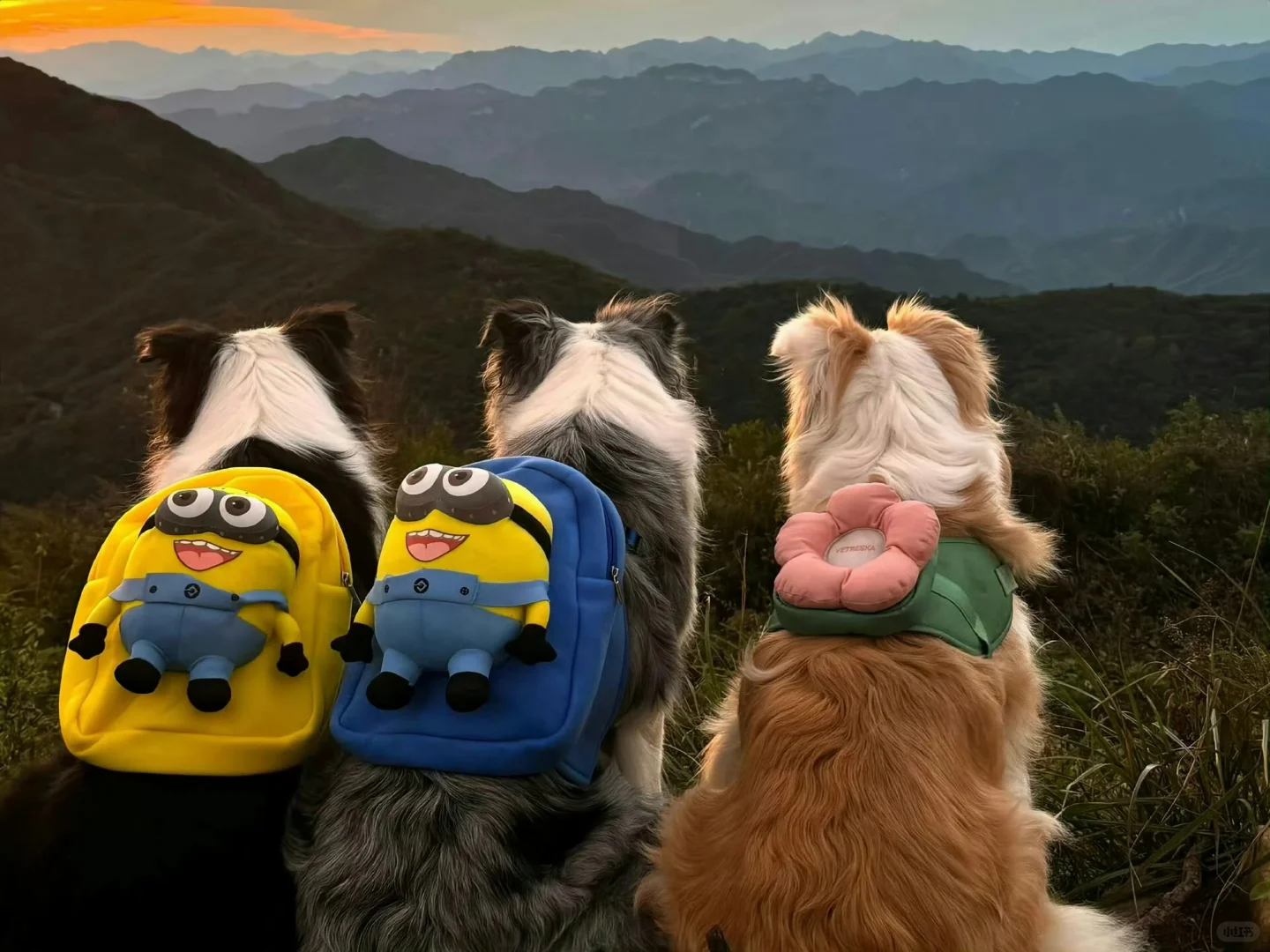 ipad平板壁纸 | 电脑壁纸 | 高清 | 氛围感|