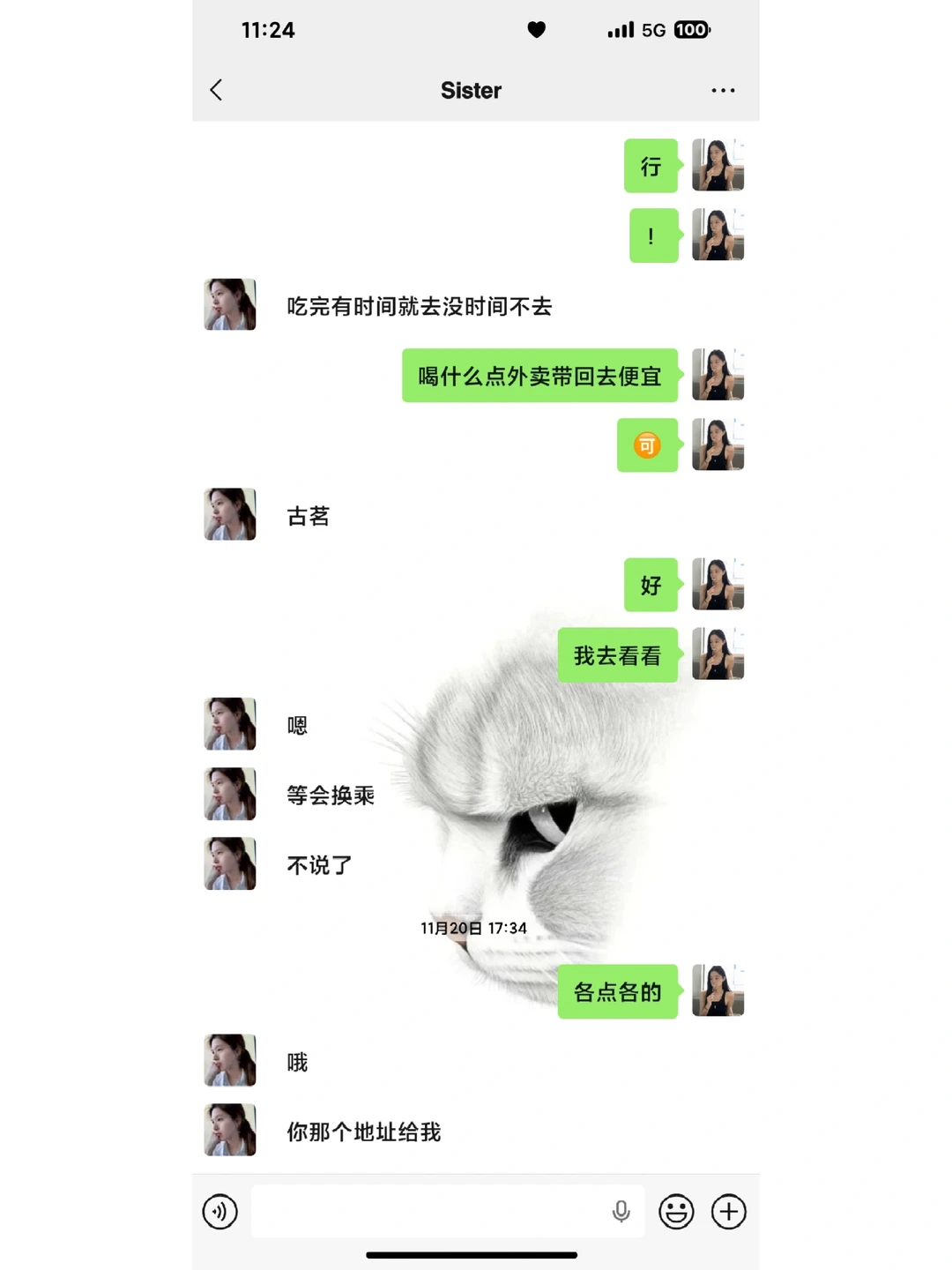 🐱｜简约壁纸分享