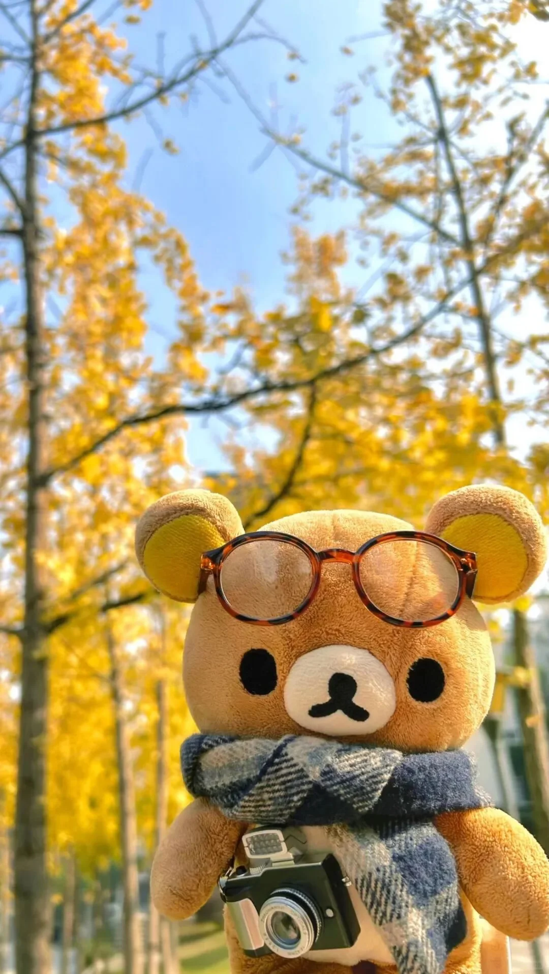 𝒘𝒆𝒄𝒉𝒂𝒕 ｜轻松熊壁纸