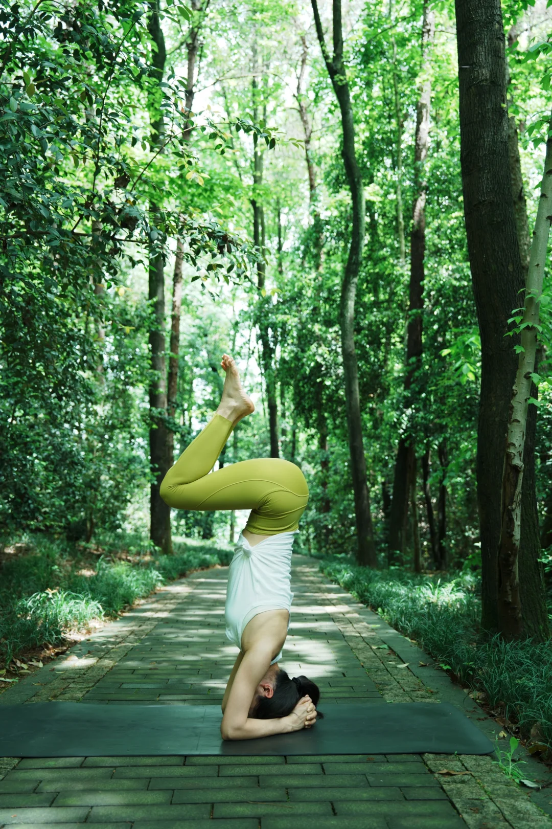 森系瑜伽晨光中与树木🌲共舞✨