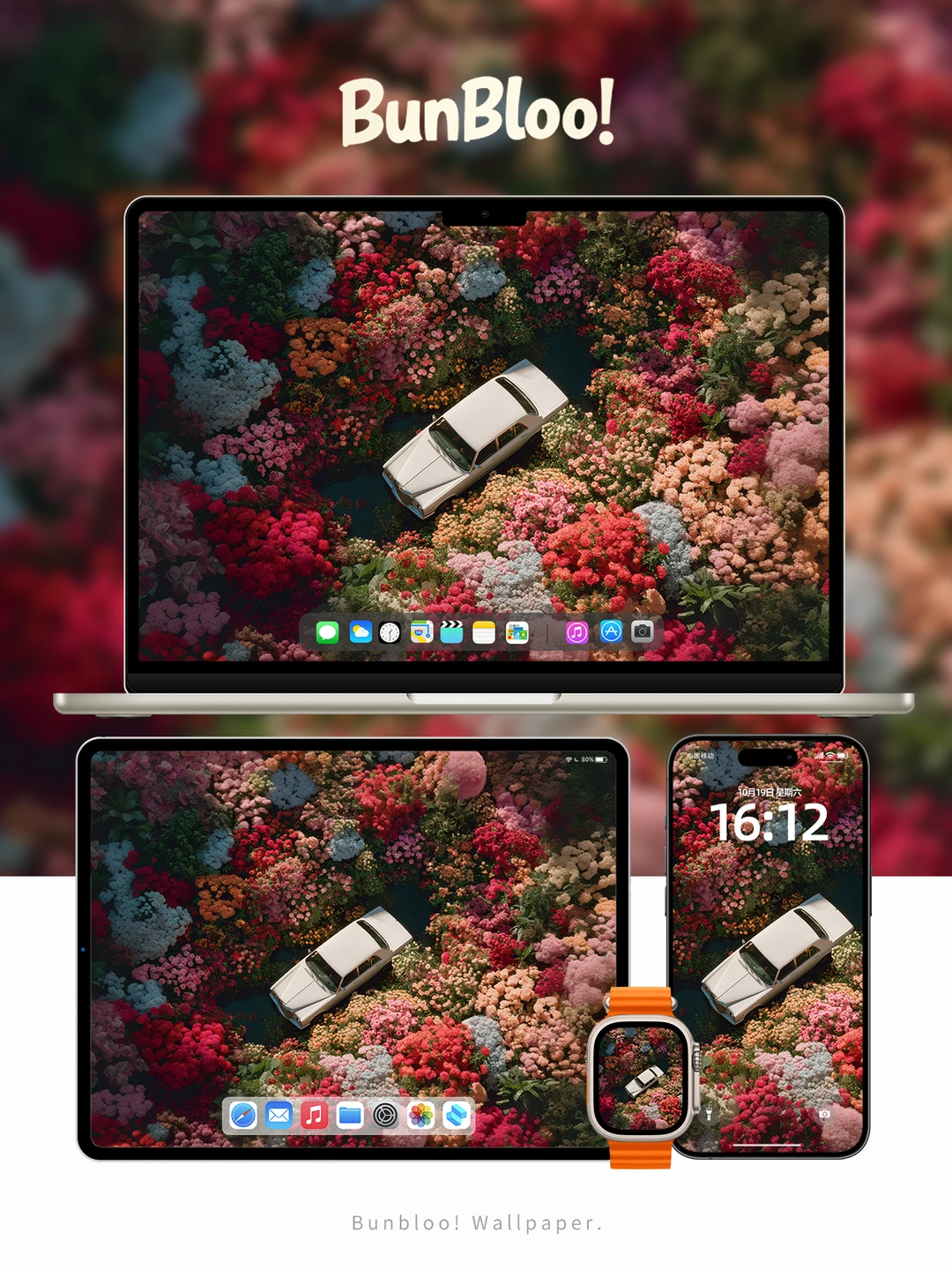 今日份壁纸分享，花花的世界真美啊！｜153