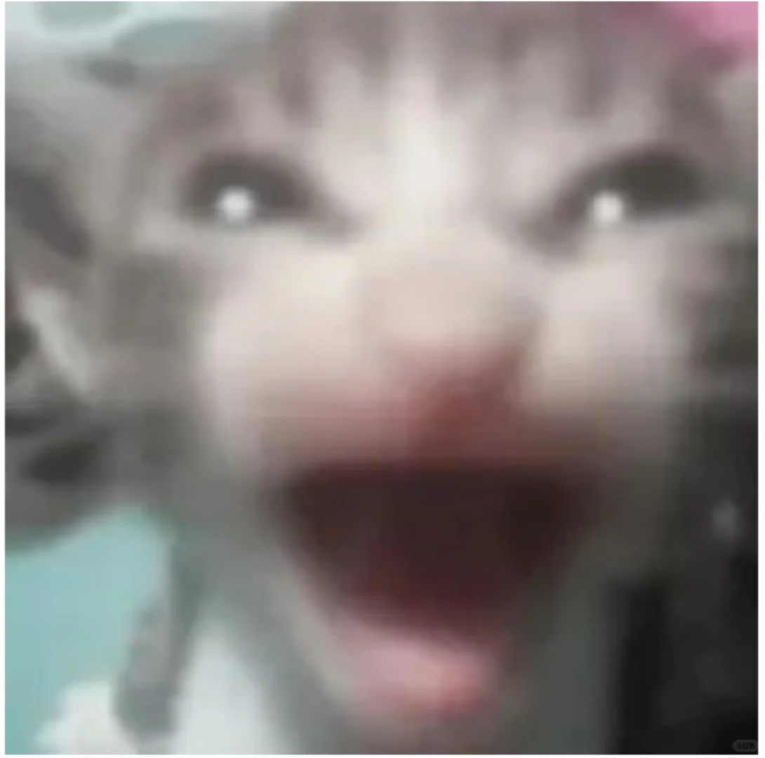 请天使女孩和我扩列。。