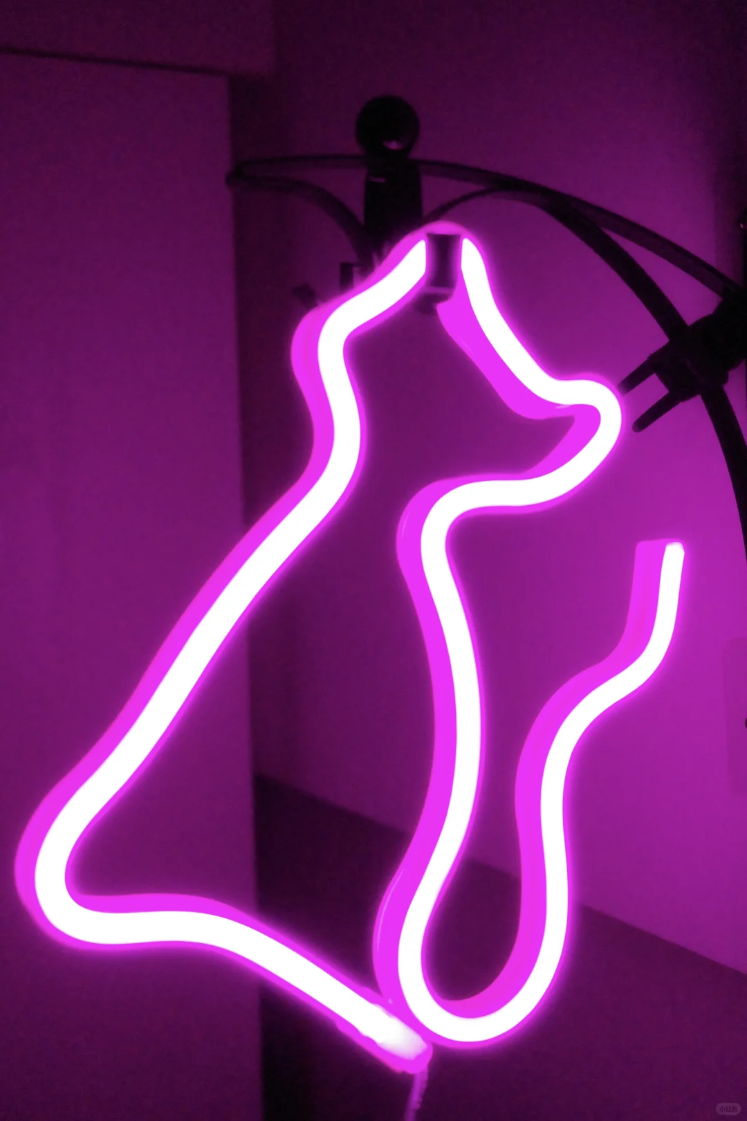 大数据请推给想拍女生视角私房的姐妹👭