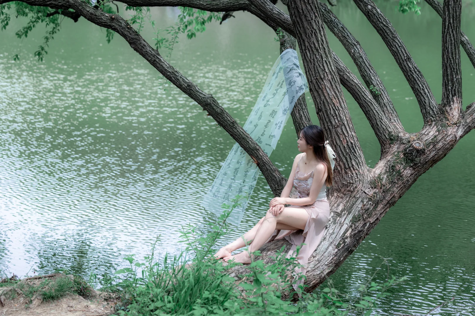 好纠结大家帮帮忙参考一下