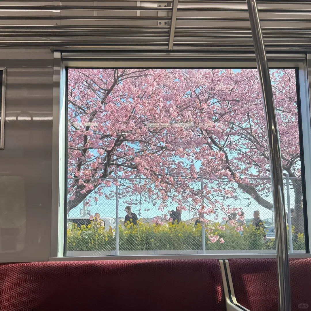 聊天背景 手机壁纸 朋友圈背景图