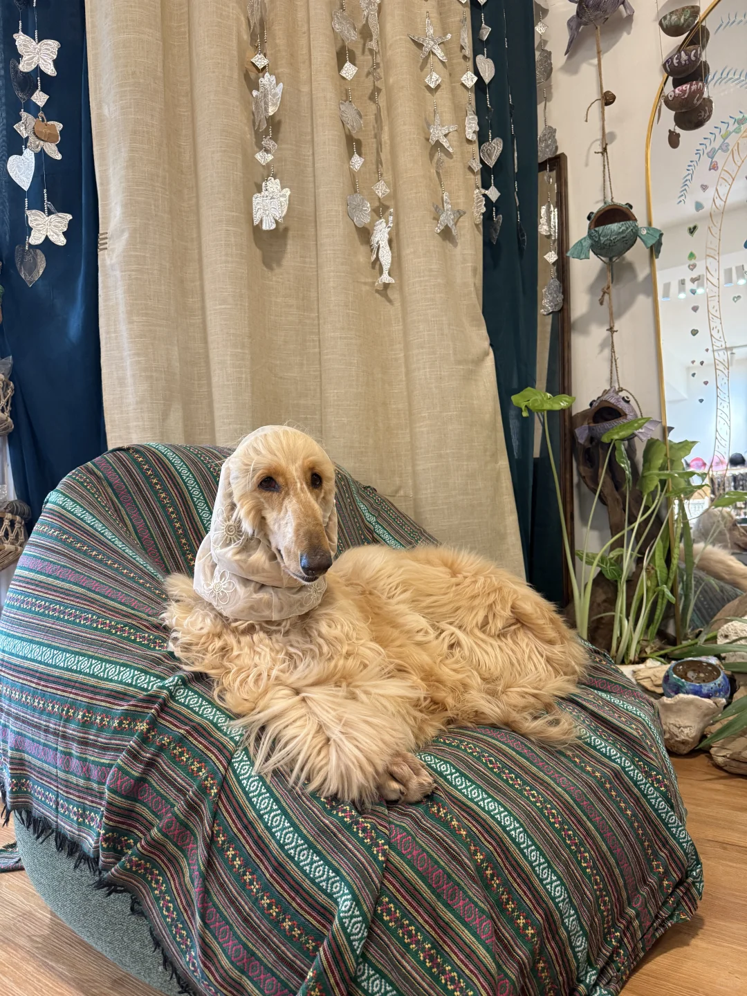 谁把瑜伽服当日常啊