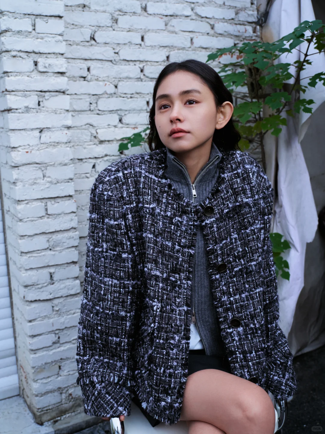 一次轻松的拍摄