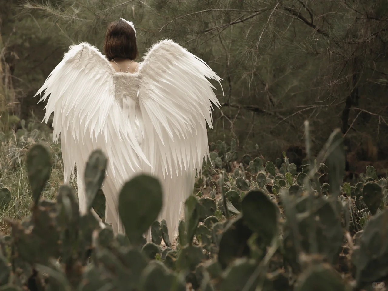 快看看我拍到的仙女～｜天使系列