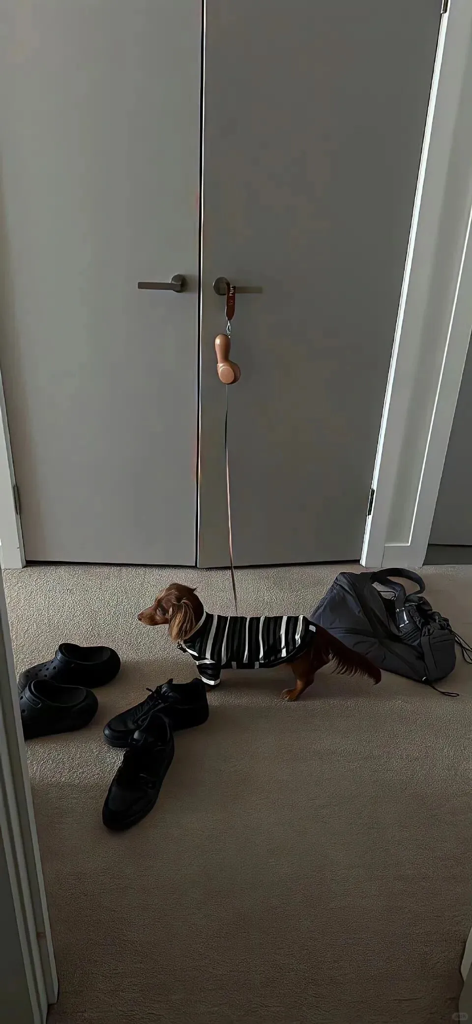 𝙒𝙖𝙡𝙡𝙥𝙖𝙥𝙚𝙧｜ins 风壁纸推荐