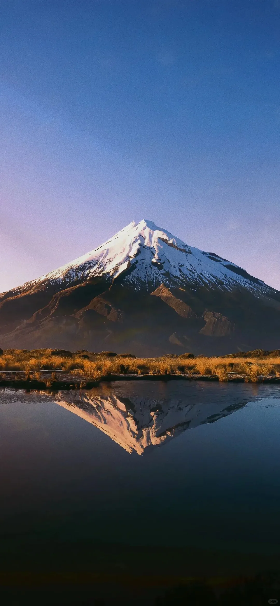 高级质感氛围感壁纸！