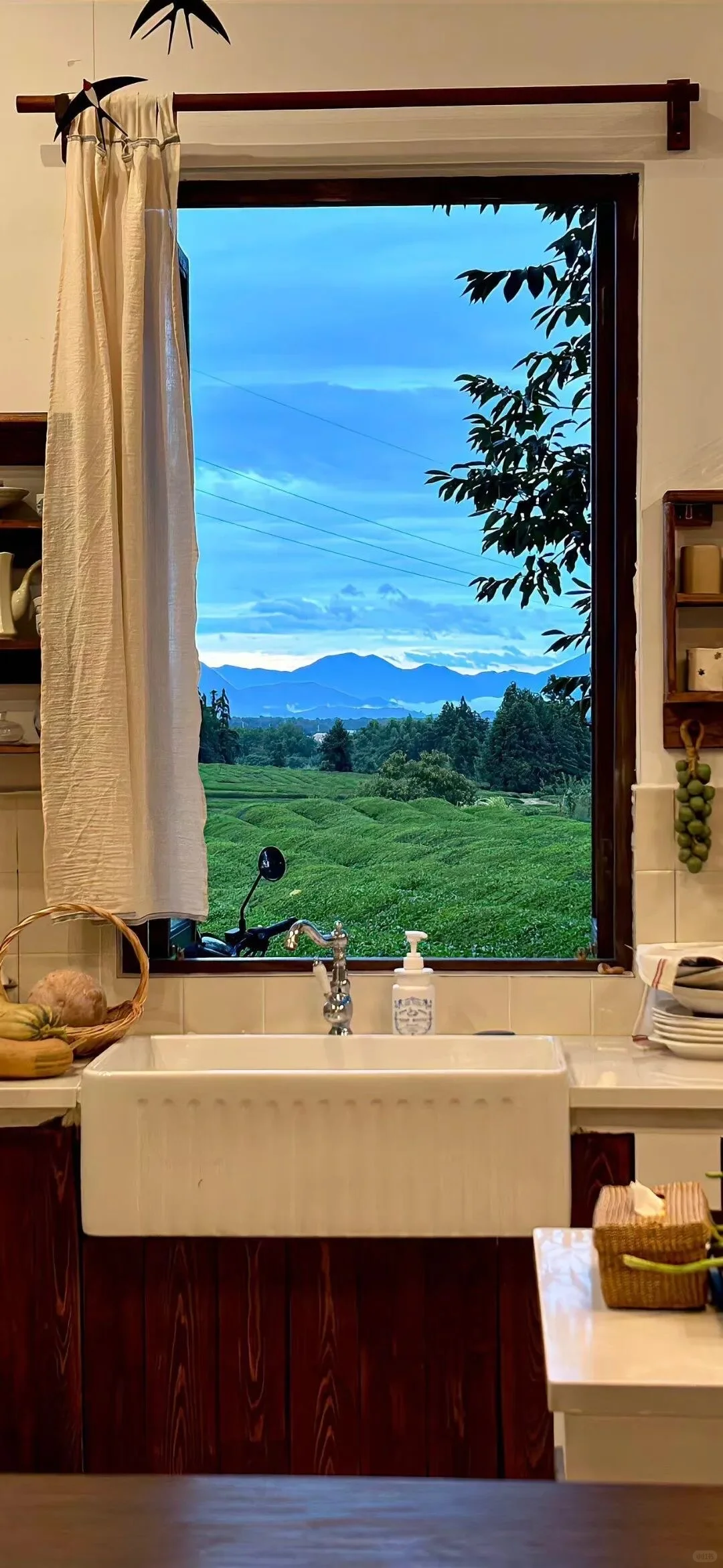 Green｜绿色系壁纸合集2️⃣