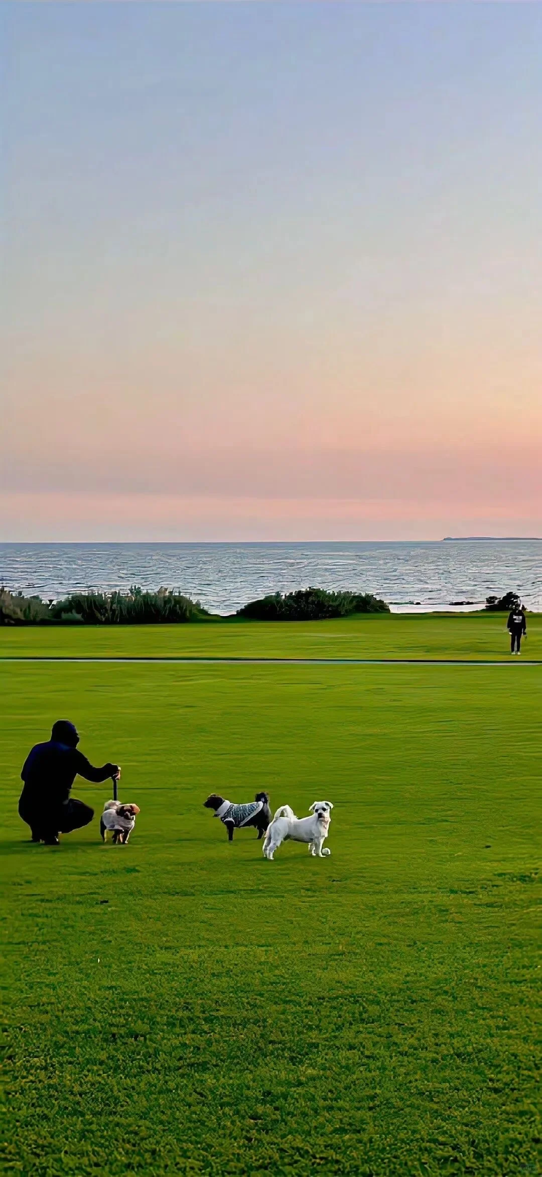 Green｜绿色系壁纸合集2️⃣