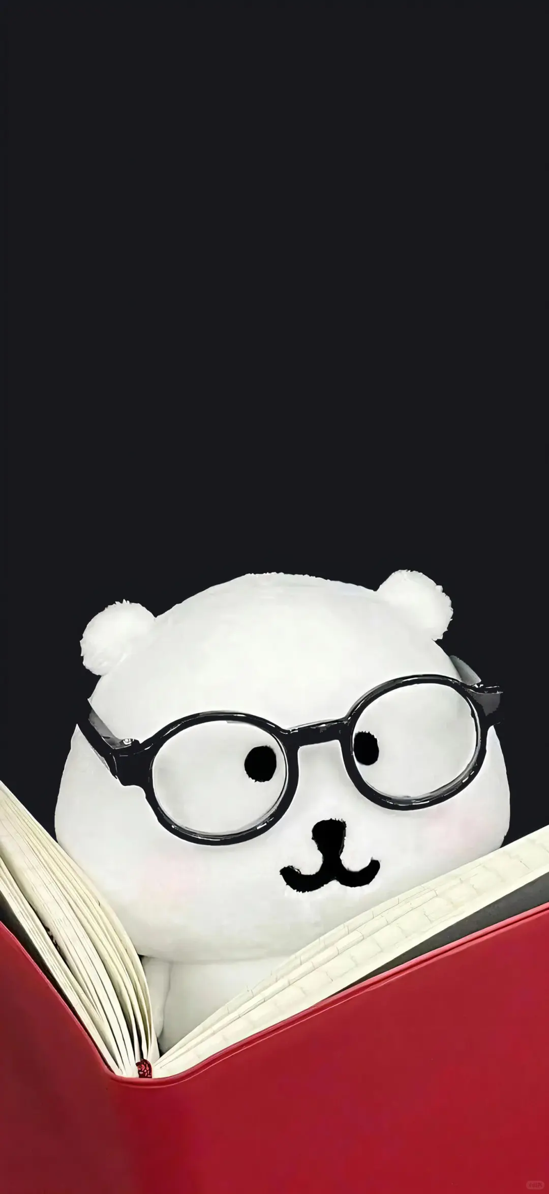 💒 𝐒𝐡𝐚𝐫𝐞｜自嘲熊壁纸